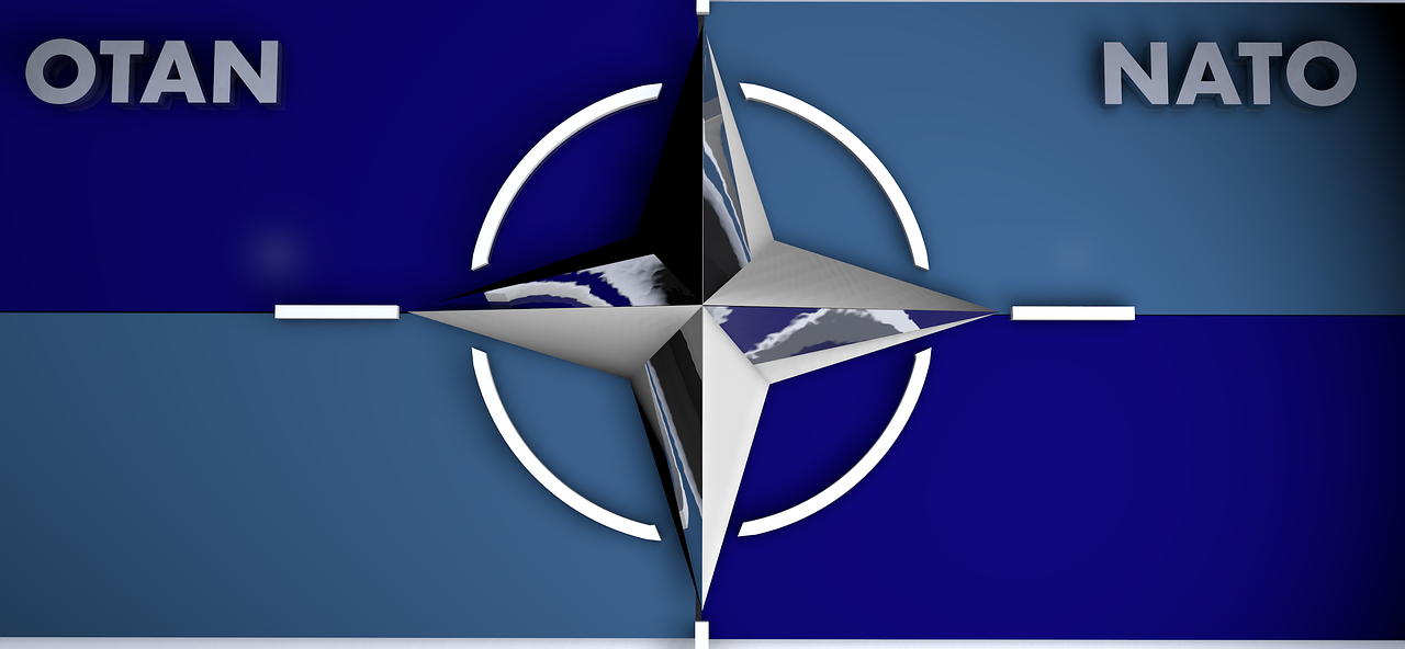 ziua nato