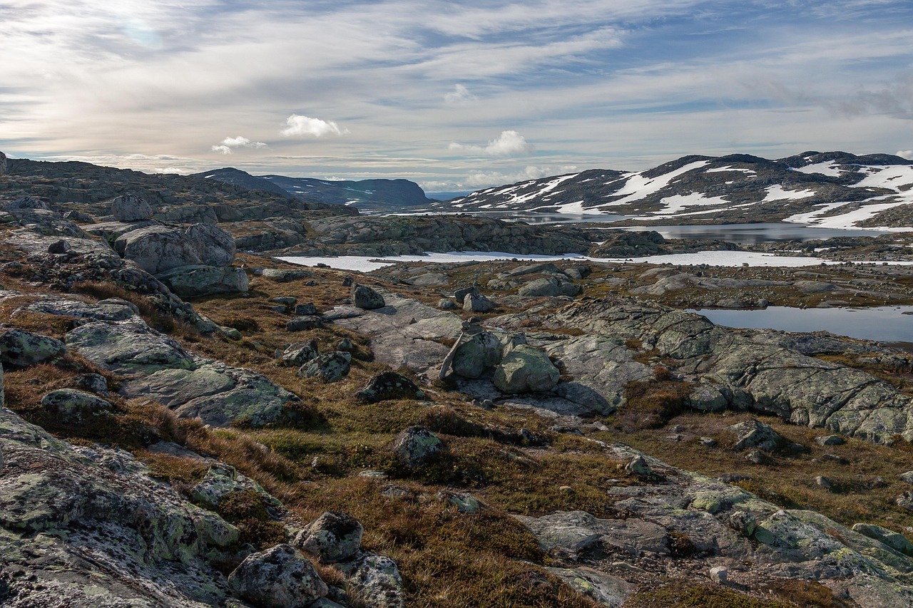 Ziua nationala a Norvegiei
