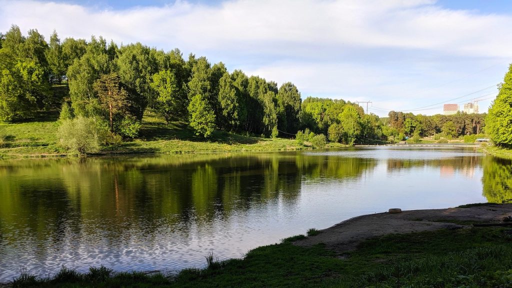 ziua mondiala a padurii