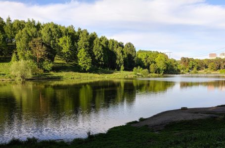 Ziua mondiala a padurii