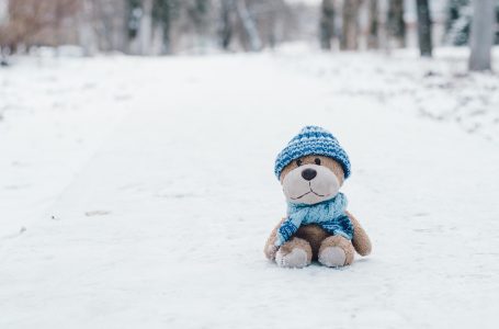 Ziua Ursului