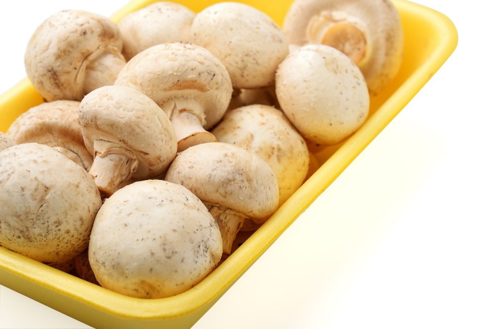 piept de pui cu sos de ciuperci