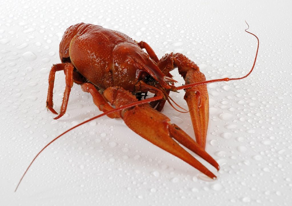 reteta taitei chinezesti cu sos de soia