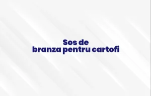 sos de branza pentru cartofi
