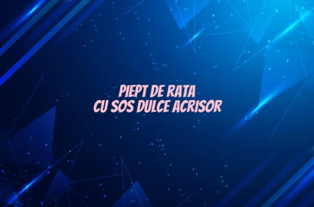 Piept de rata cu sos dulce acrisor