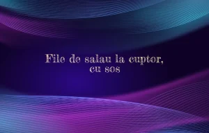 file de salau la cuptor cu sos