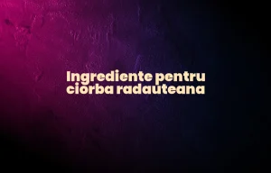 ingrediente ciorba radauteana