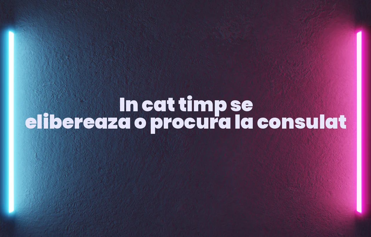 in cat timp se elibereaza o procura la consulat