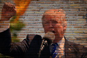 cati ani are trump