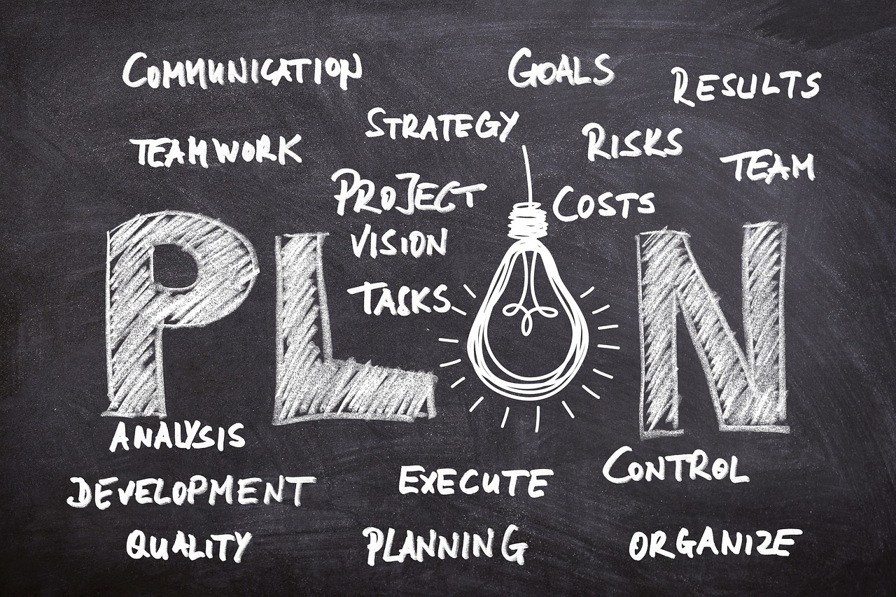 plan de afaceri model
